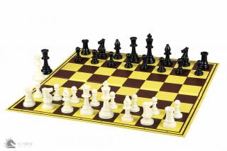 Szkolny zestaw szachowy PLUS (10 x szachownica tekturowa składana z figurami szachowymi + 1x szachownica demonstracyjna)